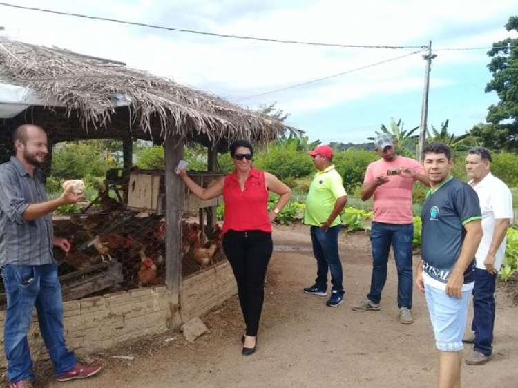 Vereadores visitam Escola Agr&iacute;cola do Munic&iacute;pio de Terra Nova do Norte
