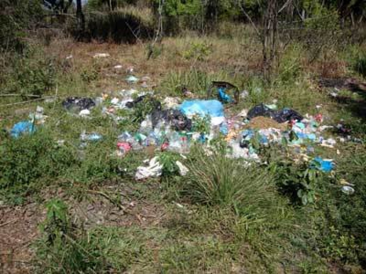 Vereadores pedem limpeza em rua e cobram conscientização