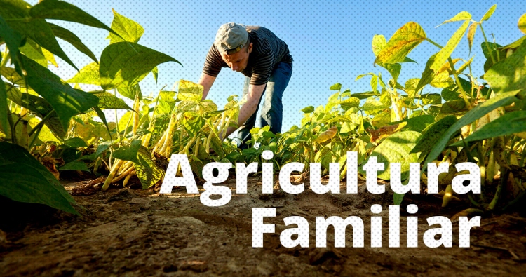 Câmara de União do Sul devolve R$ 72 mil para o Executivo. Valor pode ser utilizado na Agricultura Familiar