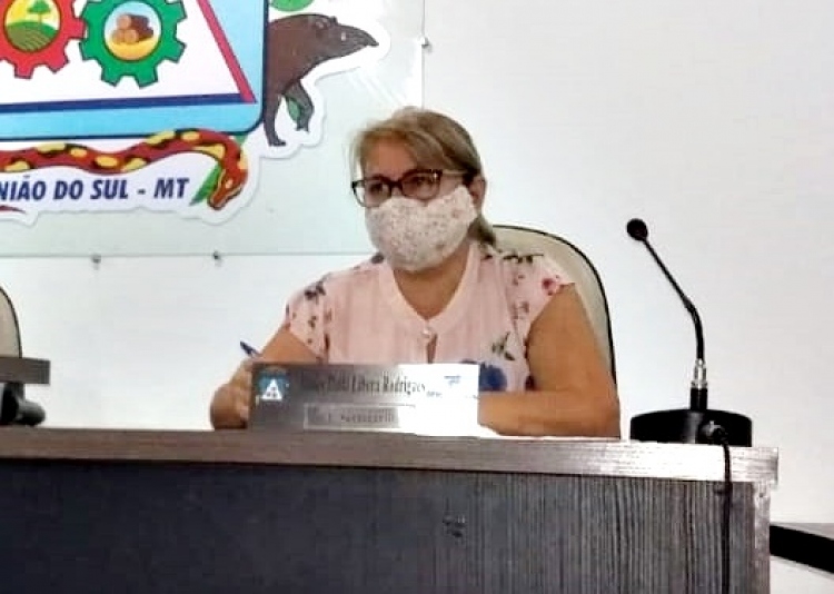 Vereadora pede instalação de lombadas na Rodovia MT 423